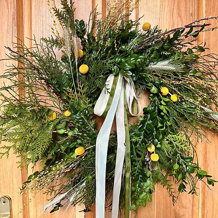 U Magdy זקופאנה